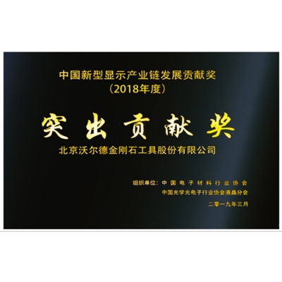 中国新型显示工业链开展突出孝顺奖